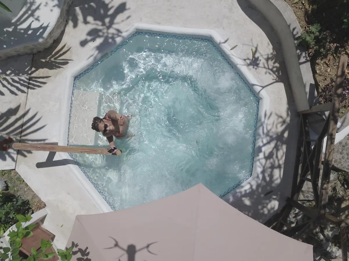 Apartment The Fan Villa Port Antonio