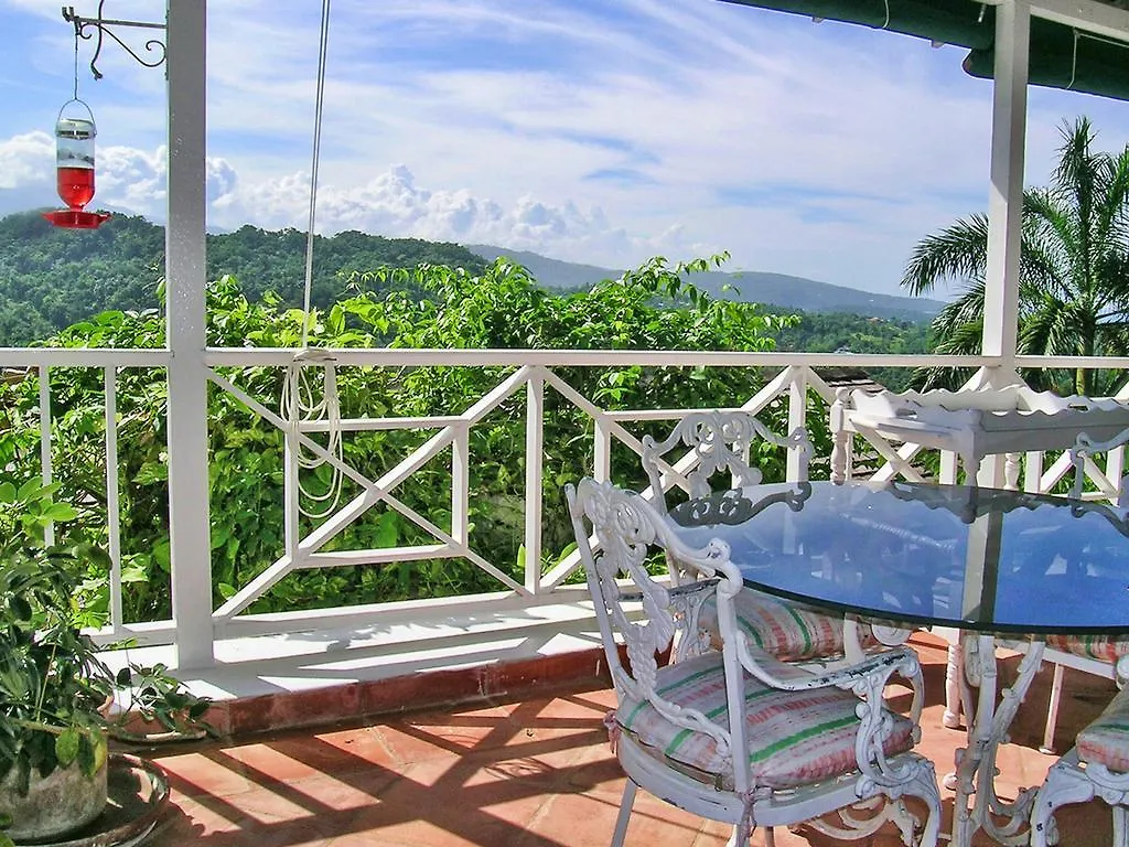 The Fan Villa Port Antonio Apartment
