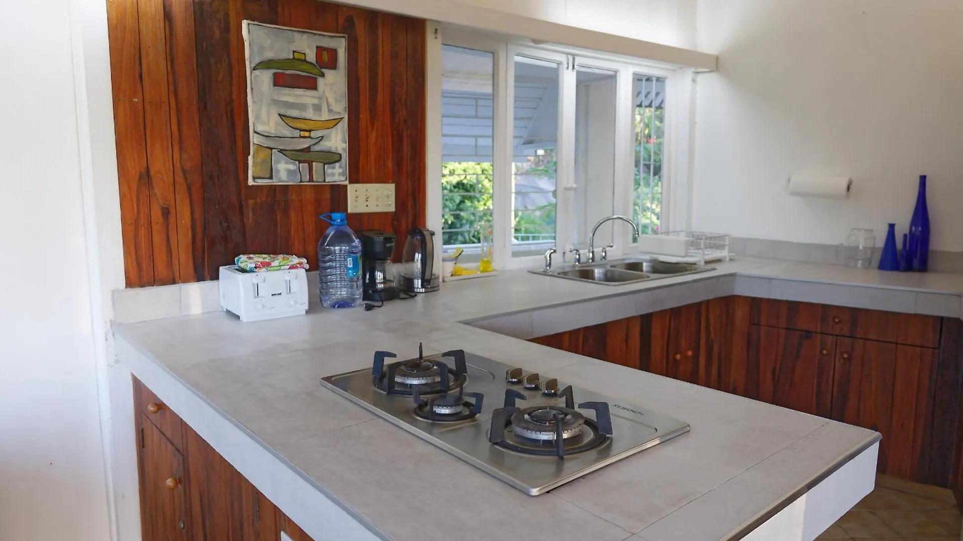 The Fan Villa Port Antonio Apartamento