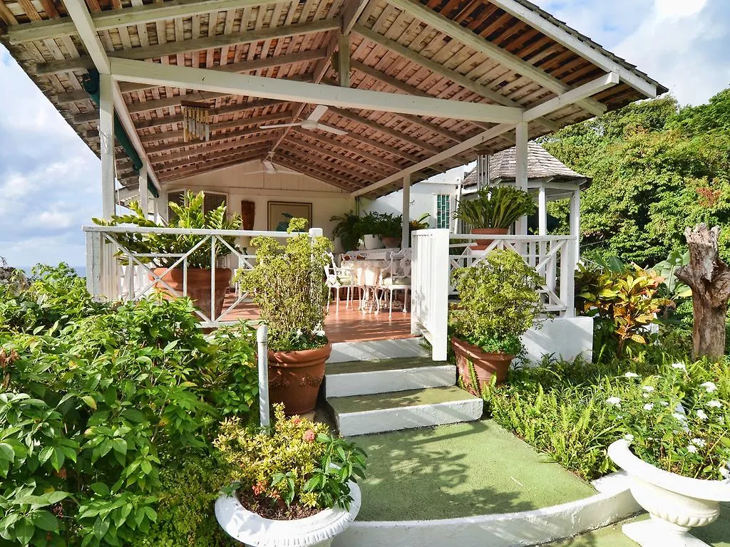 The Fan Villa Port Antonio